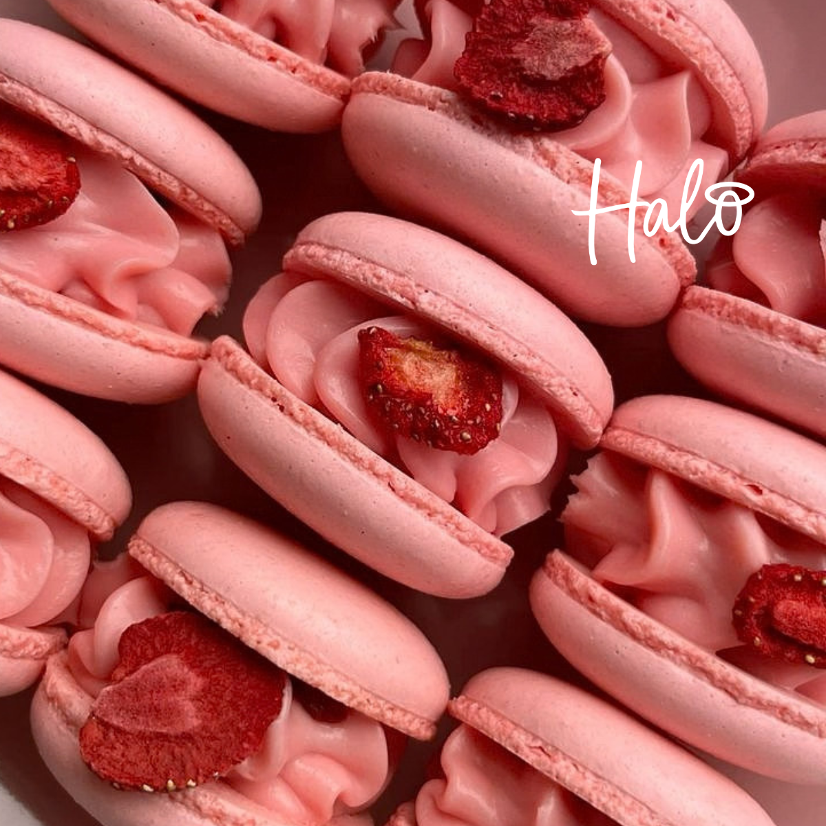 Close-up of pink French macarons filled with swirls of pink cream and topped with dried strawberries, featuring the white Halo logo for the new EasiBuild builder gel collection.