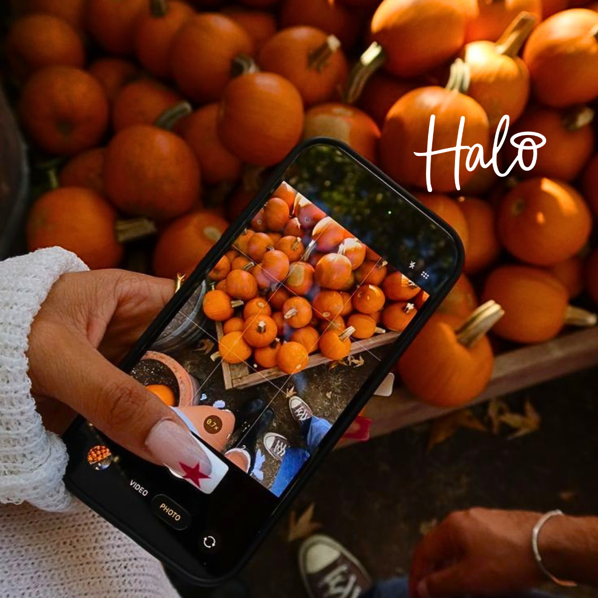 Close-up of a person photographing a display of orange pumpkins on their phone, with a pink star nail design and white Halo logo overlay.