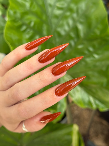 Hand with long, deep brown / orange-accented nails against a green leafy background